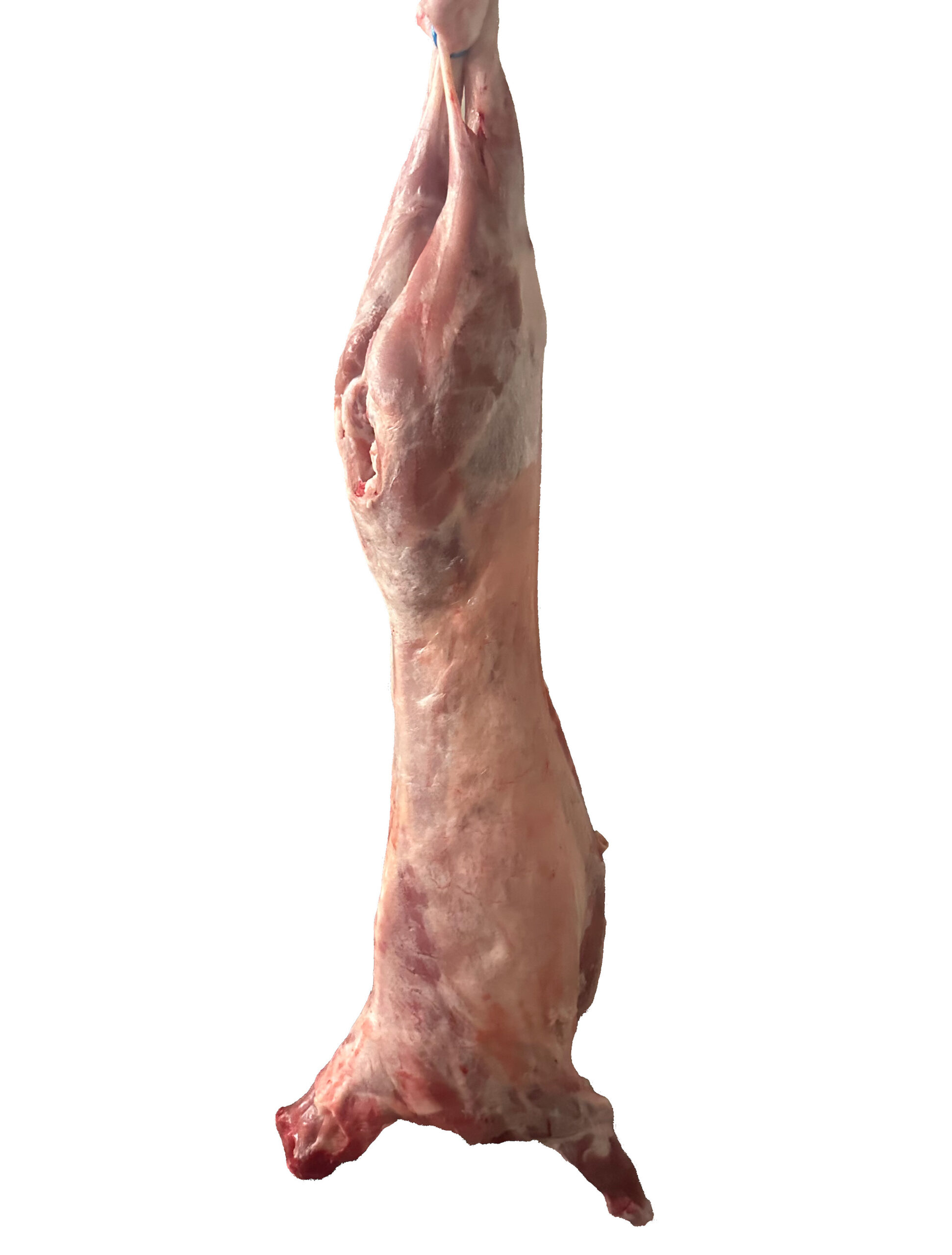 cabrito zwaar (3-6 kilo)